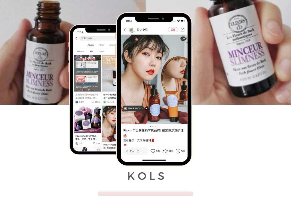 Little Red Book App: KOL marketing