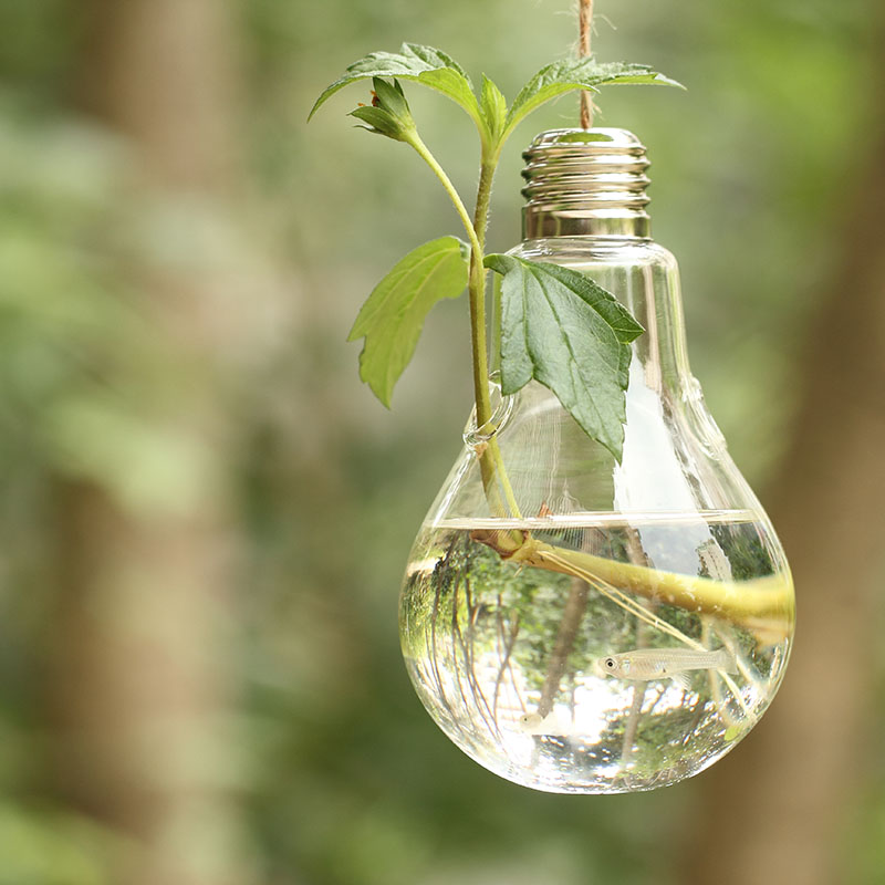 Most creative Lamps found in the Chinese e-Commerce